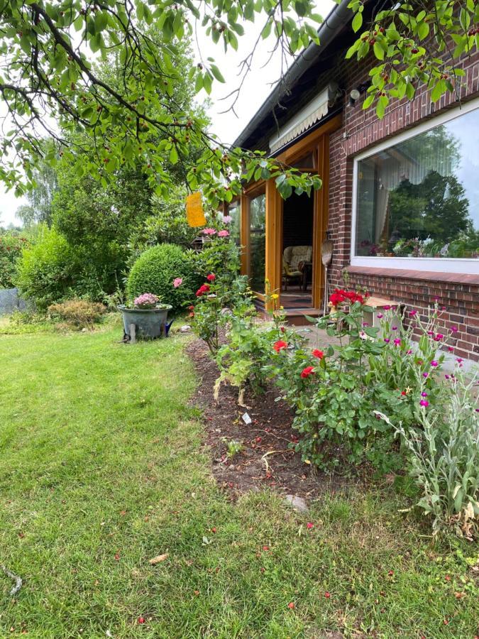 Ferienwohnung Wegener Neetze 외부 사진